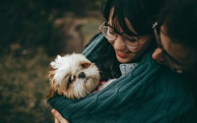 Cómo Traer a Tu Mascota a Dubai: Guía Completa para Viajar con Compañeros Peludos